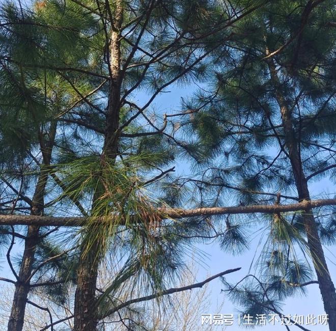 穿得好的人运气总是不会差k8凯发马竞赞助为什么说(图1)
