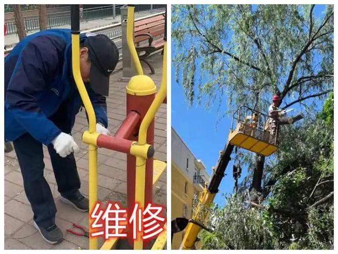 口的“爆改”打造多彩龙腾苑六区社区k8凯发一触即发“六色助力”！家门(图9)